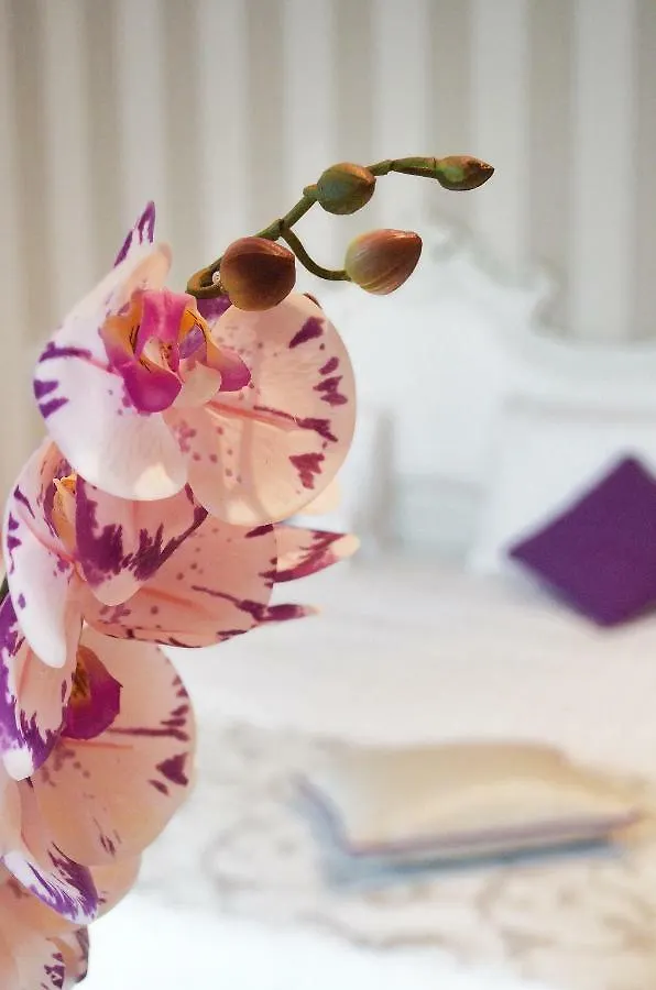 Rooms Milano Duomo איטליה
