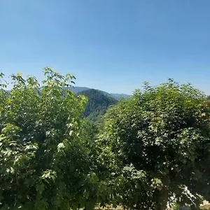  Bed & Breakfast Giu & Dany Italy